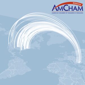 AmCham project 2